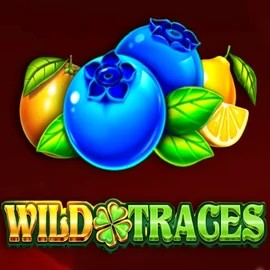 Play the Wild Traces slot by Amusnet Interactive on Winz Casino